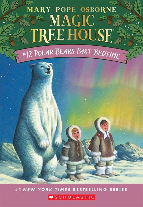 Magic treehouse bookk 12